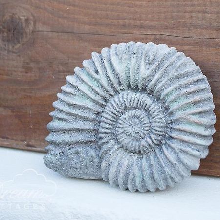 Ammonite Cottage Portland Luaran gambar