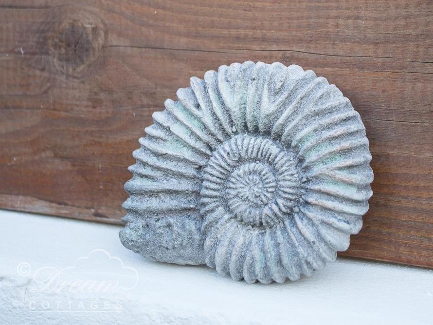 Ammonite Cottage Portland Luaran gambar